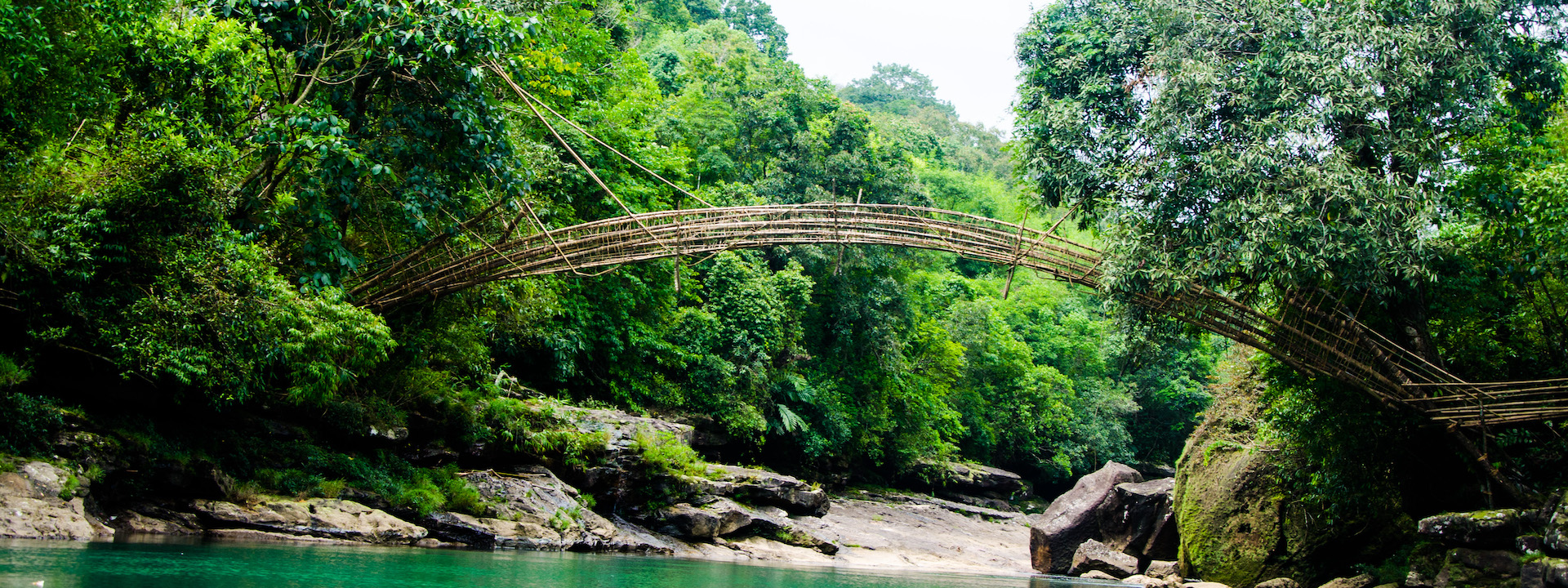 bamboo bridge