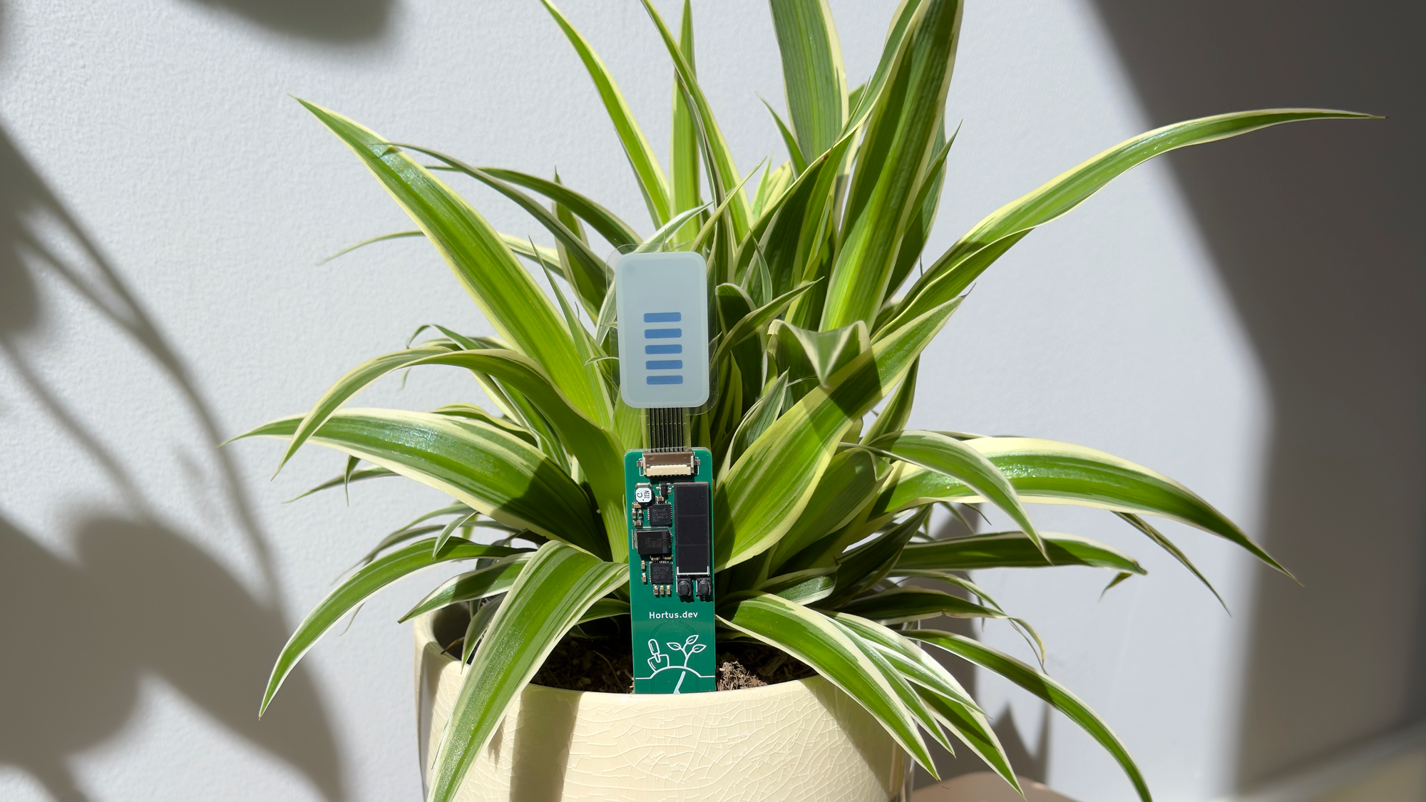 The finished watering indicator in use